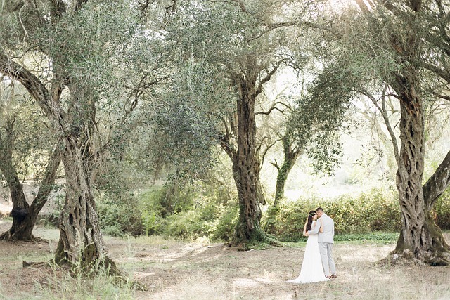Honeymoon Destinations: Picking the Perfect Post-Wedding Getaway